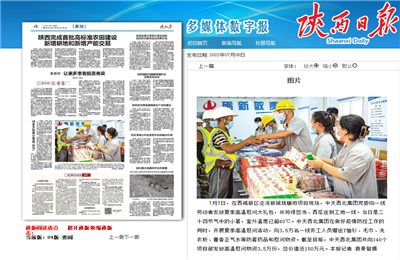尊龙凯时人生就搏西北集团珑樾府项目高温慰问——《陕西日报》